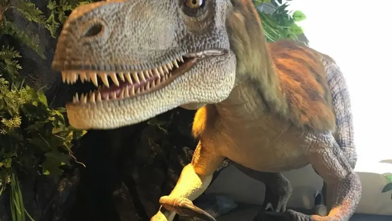 Henn na Hotel Tokyo Haneda Bild 4