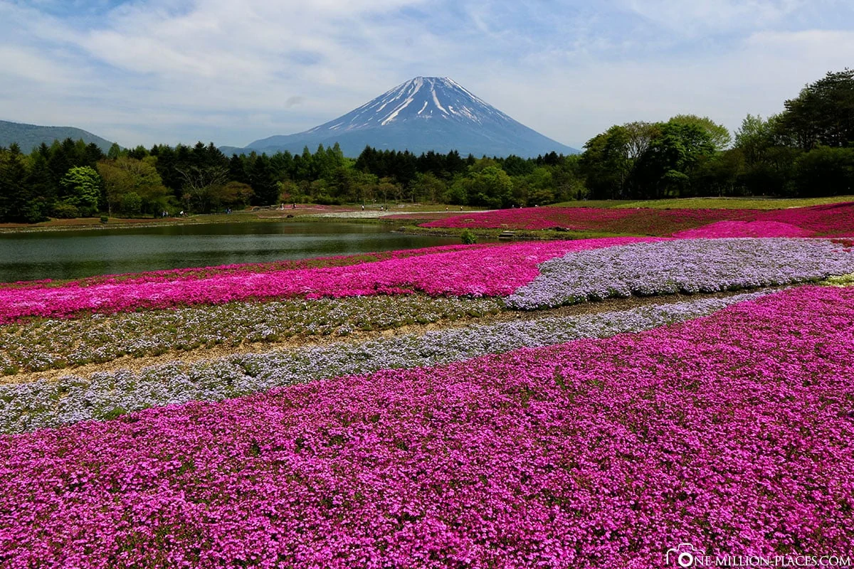 Hakone (Platzhalter)